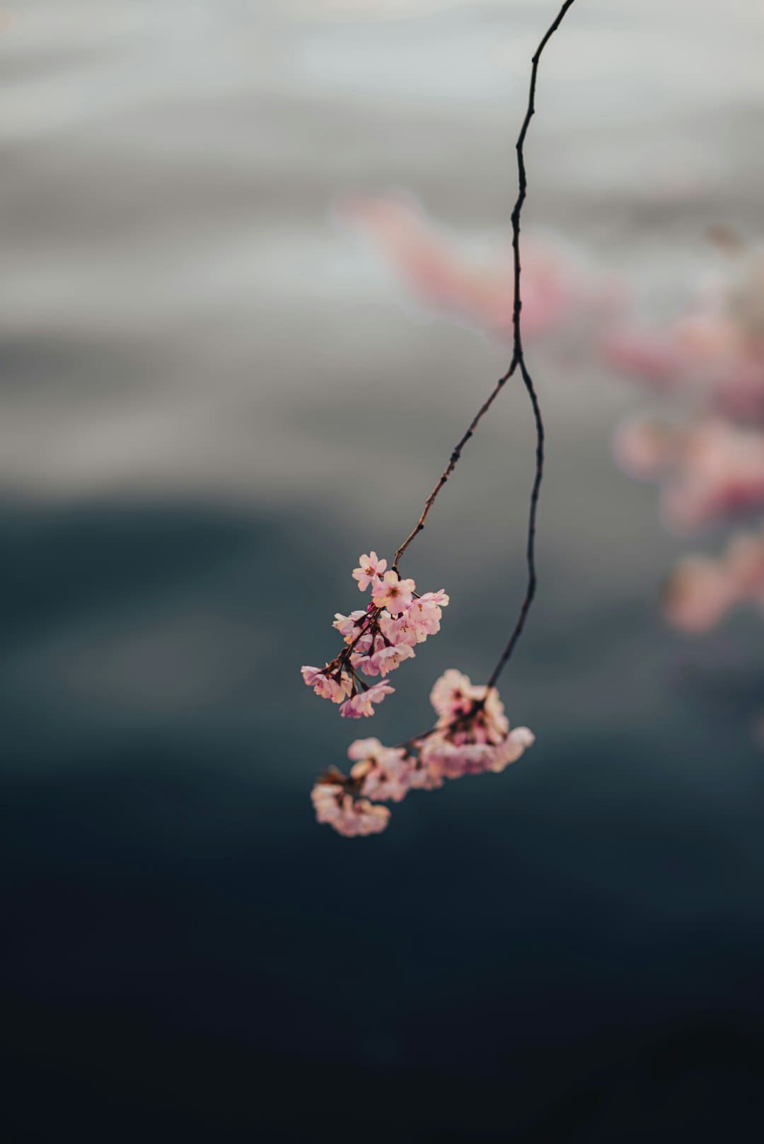 《子夜归》徐凯是干什么的?